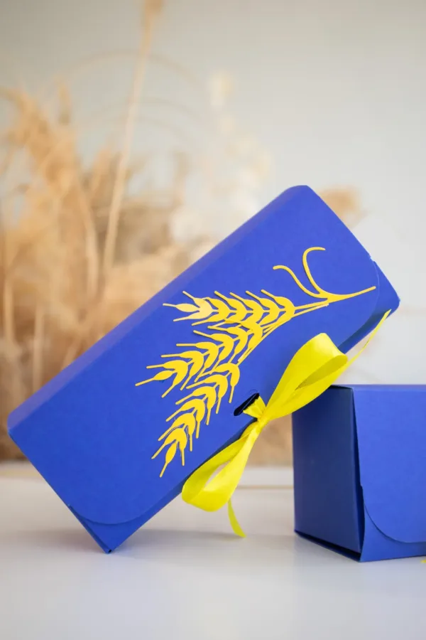 Бокс "Світло знань"